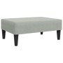 Juego de sofás con cojines 2 piezas terciopelo gris claro de , Sofás - Ref: Foro24-3216268, Precio: 321,39 €, Descuento: %