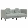 Juego de sofás con cojines 2 piezas terciopelo gris claro de , Sofás - Ref: Foro24-3209257, Precio: 437,44 €, Descuento: %