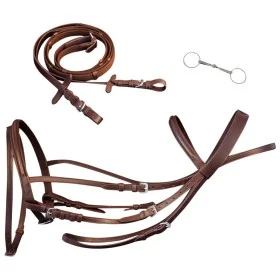 Brida Flash de Cuero Marrón con Riendas y Bocado (Caballo Percherón) de , Cabezadas - Ref: Foro24-90893, Precio: 40,79 €, Des...