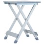 Taburete de camping de 28x26x39 cm de vidaXL, Mobiliario de camping - Ref: Foro24-48184, Precio: 59,76 €, Descuento: %