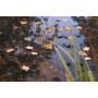 Ubbink Red cubierta de estanque PE 3x2 m de , Accesorios para estanques y fuentes - Ref: Foro24-447538, Precio: 13,23 €, Desc...