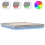 Bed frame with LED lights Sonoma gray 200x200 cm by , Beds and slatted bases - Ref: Foro24-3209770, Price: 159,77 €, Discount: %