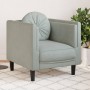 Sillón con cojín terciopelo gris claro de , Sofás - Ref: Foro24-372622, Precio: 138,47 €, Descuento: %