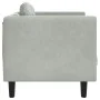 Armchair with light gray velvet cushion by , Sofas - Ref: Foro24-372622, Price: 136,85 €, Discount: %
