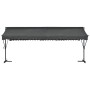 Toldo de pie independiente gris antracita 600x300 cm de vidaXL, Sombrillas - Ref: Foro24-145888, Precio: 528,26 €, Descuento: %