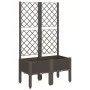 Jardinera con enrejado PP marrón 80x40x142 cm de , Maceteros y jardineras - Ref: Foro24-367925, Precio: 80,48 €, Descuento: %