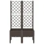 Jardinera con enrejado PP marrón 80x40x142 cm de , Maceteros y jardineras - Ref: Foro24-367925, Precio: 80,48 €, Descuento: %