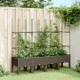Jardinera con enrejado PP marrón 160x40x142,5 cm de , Maceteros y jardineras - Ref: Foro24-367965, Precio: 86,25 €, Descuento: %