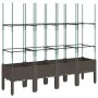 Jardinera con enrejado PP marrón 160x40x142,5 cm de , Maceteros y jardineras - Ref: Foro24-367965, Precio: 86,25 €, Descuento: %