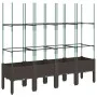 Jardinera con enrejado PP marrón 160x40x142,5 cm de , Maceteros y jardineras - Ref: Foro24-367965, Precio: 86,25 €, Descuento: %