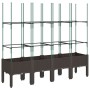 Jardinera con enrejado PP marrón 160x40x142,5 cm de , Maceteros y jardineras - Ref: Foro24-367965, Precio: 87,93 €, Descuento: %