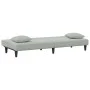 Juego de sofás con cojines 2 piezas terciopelo gris claro de , Sofás - Ref: Foro24-3216262, Precio: 291,74 €, Descuento: %