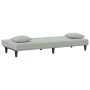 Juego de sofás con cojines 2 piezas terciopelo gris claro de , Sofás - Ref: Foro24-3216262, Precio: 293,82 €, Descuento: %