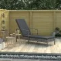 Gray synthetic rattan sun lounger with armrests by vidaXL, Loungers - Ref: Foro24-48126, Price: 108,83 €, Discount: %