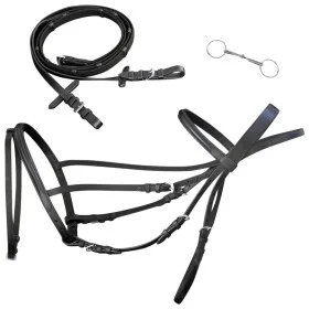 Brida Flash de Cuero Negro con Riendas y Bocado (Estándar) de , Cabezadas - Ref: Foro24-90897, Precio: 43,77 €, Descuento: %