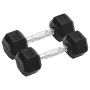 Mancuernas 2 unidades hierro fundido 10 kg de , Peso libre - Ref: Foro24-93601, Precio: 51,99 €, Descuento: %
