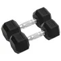 Mancuernas 2 unidades hierro fundido 16 kg de , Peso libre - Ref: Foro24-93603, Precio: 75,58 €, Descuento: %