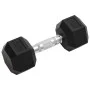Mancuernas 2 unidades hierro fundido 16 kg de , Peso libre - Ref: Foro24-93603, Precio: 75,58 €, Descuento: %