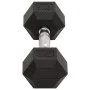 Mancuernas 2 unidades hierro fundido 16 kg de , Peso libre - Ref: Foro24-93603, Precio: 75,58 €, Descuento: %