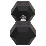 Mancuerna hierro fundido 20 kg de , Peso libre - Ref: Foro24-93608, Precio: 84,76 €, Descuento: %