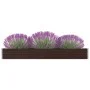 Arriate de jardín de acero galvanizado marrón 320x40x45 cm de vidaXL, Maceteros y jardineras - Ref: Foro24-47054, Precio: 72,...