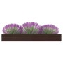 Arriate de jardín de acero galvanizado marrón 320x40x45 cm de vidaXL, Maceteros y jardineras - Ref: Foro24-47054, Precio: 73,...