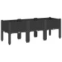 Jardinera con patas PP negro 120x40x42 cm de , Maceteros y jardineras - Ref: Foro24-367898, Precio: 90,13 €, Descuento: %
