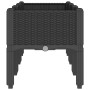 Jardinera con patas PP negro 120x40x42 cm de , Maceteros y jardineras - Ref: Foro24-367898, Precio: 96,52 €, Descuento: %