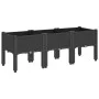 Jardinera con patas PP negro 120x40x42 cm de , Maceteros y jardineras - Ref: Foro24-367898, Precio: 90,13 €, Descuento: %