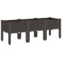 Jardinera con patas PP marrón 120x40x42 cm de , Maceteros y jardineras - Ref: Foro24-367900, Precio: 74,61 €, Descuento: %