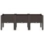 Jardinera con patas PP marrón 120x40x42 cm de , Maceteros y jardineras - Ref: Foro24-367900, Precio: 74,61 €, Descuento: %