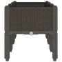 Jardinera con patas PP marrón 120x40x42 cm de , Maceteros y jardineras - Ref: Foro24-367900, Precio: 74,61 €, Descuento: %