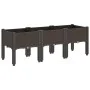 Jardinera con patas PP marrón 120x40x42 cm de , Maceteros y jardineras - Ref: Foro24-367900, Precio: 74,61 €, Descuento: %