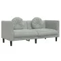 Sofá con cojines 2 plazas terciopelo gris claro de , Sofás - Ref: Foro24-372632, Precio: 195,21 €, Descuento: %