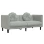 Sofá con cojines 2 plazas terciopelo gris claro de , Sofás - Ref: Foro24-372632, Precio: 199,23 €, Descuento: %