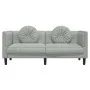 Sofá con cojines 2 plazas terciopelo gris claro de , Sofás - Ref: Foro24-372632, Precio: 195,21 €, Descuento: %