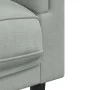 Sofá con cojines 2 plazas terciopelo gris claro de , Sofás - Ref: Foro24-372632, Precio: 195,21 €, Descuento: %