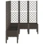 Jardinera con enrejado PP marrón 160x120x142 cm de , Maceteros y jardineras - Ref: Foro24-367940, Precio: 176,88 €, Descuento: %