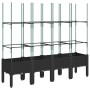 Jardinera con enrejado PP negro 160x40x142,5 cm de , Maceteros y jardineras - Ref: Foro24-367963, Precio: 107,96 €, Descuento: %