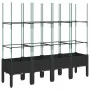 Jardinera con enrejado PP negro 160x40x142,5 cm de , Maceteros y jardineras - Ref: Foro24-367963, Precio: 86,52 €, Descuento: %