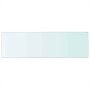 Panel de estante vidrio claro 80x25 cm en Estanterías | Comprar online en Foru.es