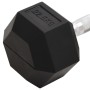 Mancuerna hierro fundido 22,5 kg de vidaXL, Peso libre - Ref: Foro24-93609, Precio: 95,37 €, Descuento: %