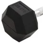 Mancuerna hierro fundido 22,5 kg de vidaXL, Peso libre - Ref: Foro24-93609, Precio: 81,08 €, Descuento: %