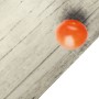 Alfombra de cocina lavable terciopelo tomates 60x300 cm de vidaXL, Felpudos - Ref: Foro24-4005622, Precio: 37,82 €, Descuento: %