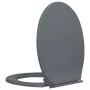 Tapa y asiento de váter con cierre suave ovalada gris de vidaXL, Asientos de inodoros y bidés - Ref: Foro24-145816, Precio: 3...