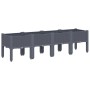 Jardinera con patas PP azul gris 160x40x42 cm de vidaXL, Maceteros y jardineras - Ref: Foro24-367901, Precio: 104,05 €, Descu...