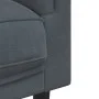 Sofá con cojines 2 plazas terciopelo gris oscuro by vidaXL, Sofas - Ref: Foro24-372633, Price: 195,21 €, Discount: %