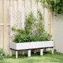 Jardinera con enrejado PP blanco 120x40x142 cm de vidaXL, Maceteros y jardineras - Ref: Foro24-367929, Precio: 97,50 €, Descu...