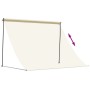 Toldo retráctil de tela y acero crema 250x150 cm de vidaXL, Toldos - Ref: Foro24-368760, Precio: 49,60 €, Descuento: %