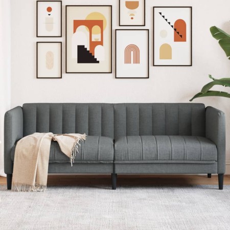 Sofá de 2 plazas tela gris oscuro de vidaXL, Sofás - Ref: Foro24-372605, Precio: 243,82 €, Descuento: %